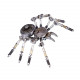 diy assemby metal 3d spider model kit home office decor gift