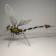 metal dragonfly king assembled model kits 3d handmade bug insect sculpture steampunk
